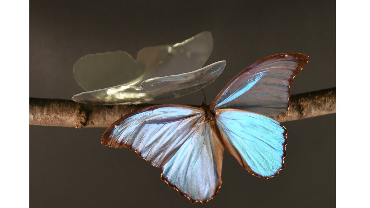 Nature Electronics