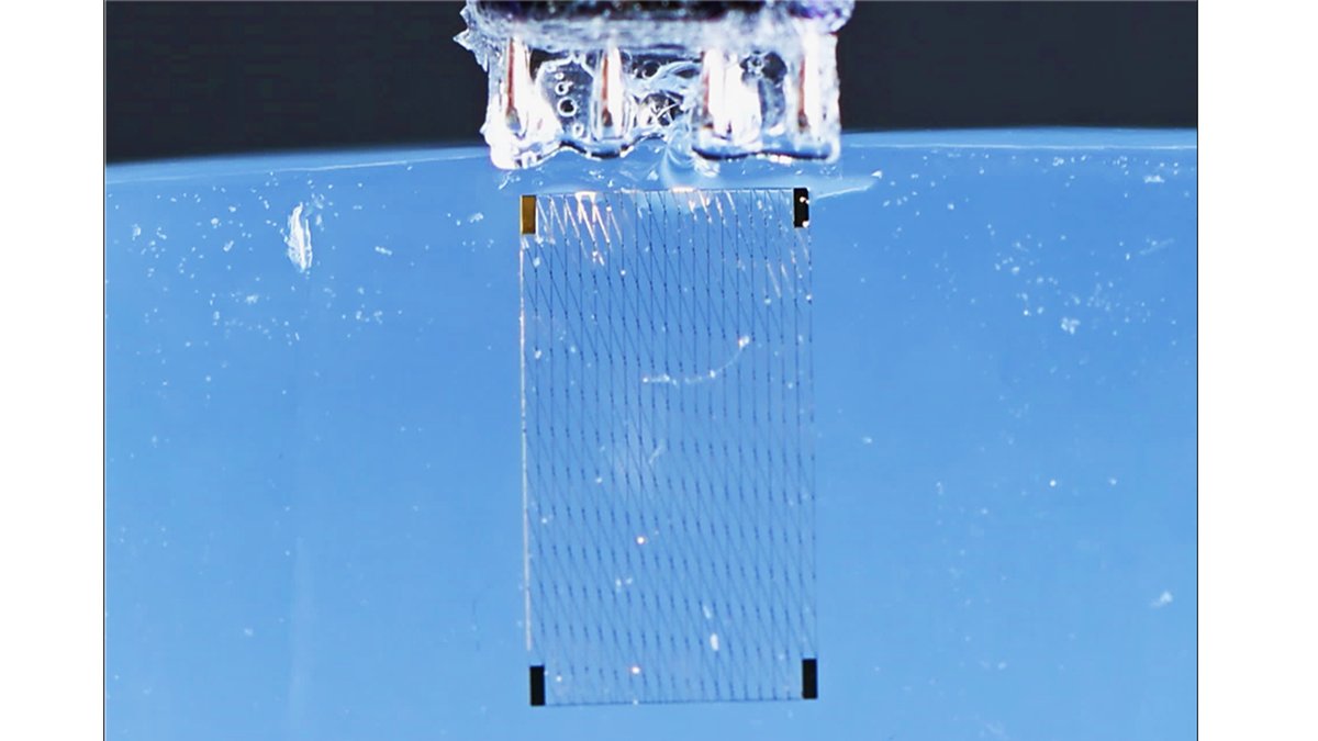 npj Flexible Electronics